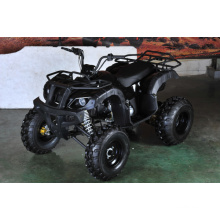 150cc ATV Utility camino con revés (MDL 150 AUG)